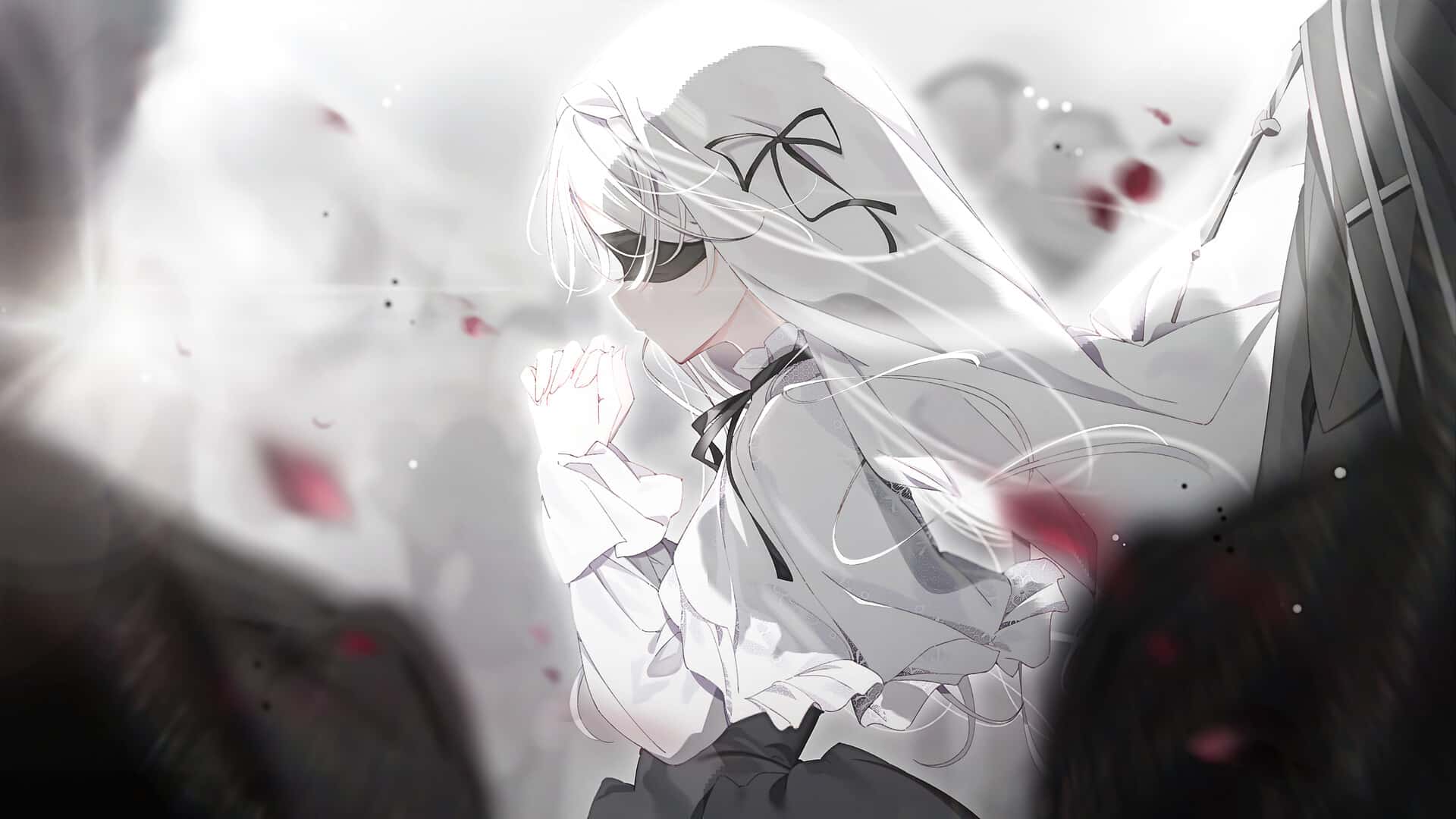 视觉数据2